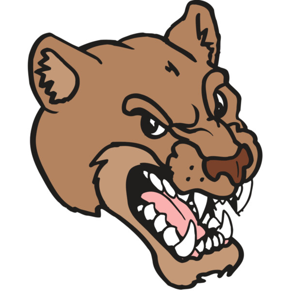 AR5 COUGAR 12 RQC Thumbnail