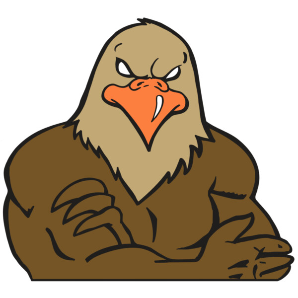 AR FALCON 26 RC Thumbnail