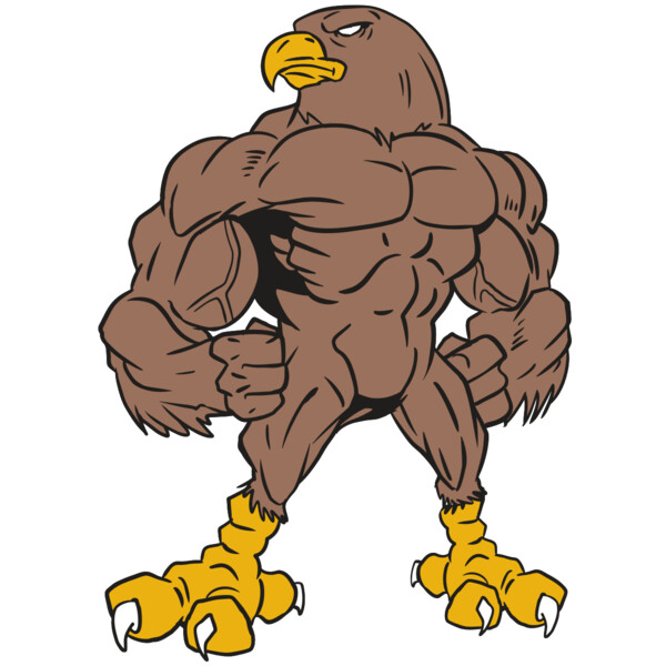 AR13 FALCON 01 RQC Thumbnail