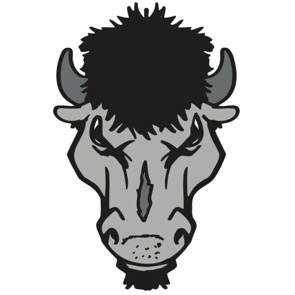 AR BUFFALO 15 RC Thumbnail