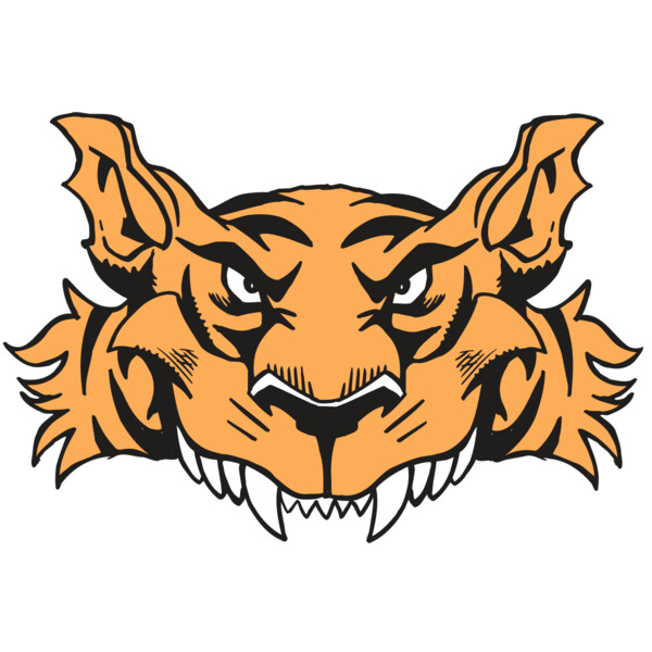 AR5 Tiger 07 RQC Thumbnail