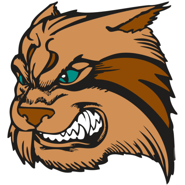 BAW WILDCAT 05 RC Thumbnail