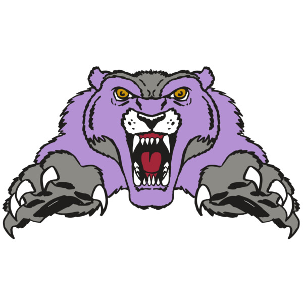 AR WOLVERINE 17 RC Thumbnail