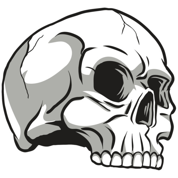 AR24 SKULL 10 RQC Thumbnail