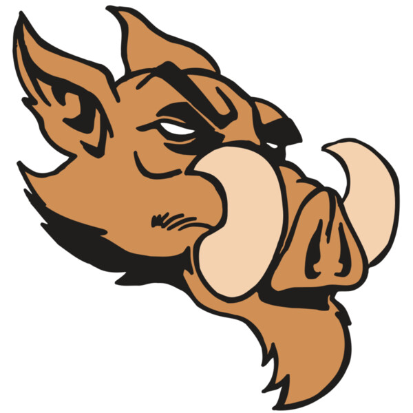 AR5 Razorback 16 RQC Thumbnail