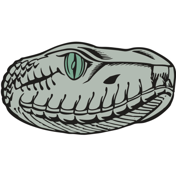 BAW SNAKE 10 RC Thumbnail