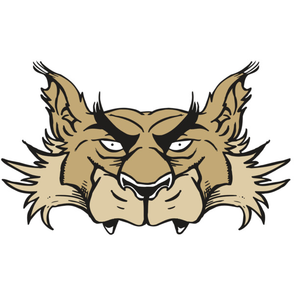 AR5 Wolf 28 RQC Thumbnail