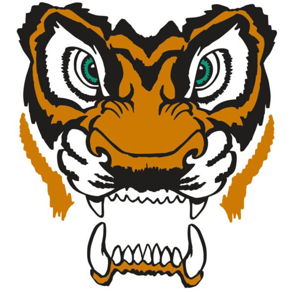 AR TIGER 11 RC Thumbnail