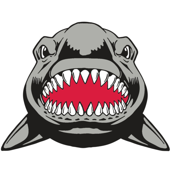 AR  SHARK 25 RC Thumbnail