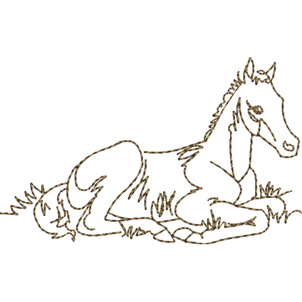 WS609 48 Thumbnail