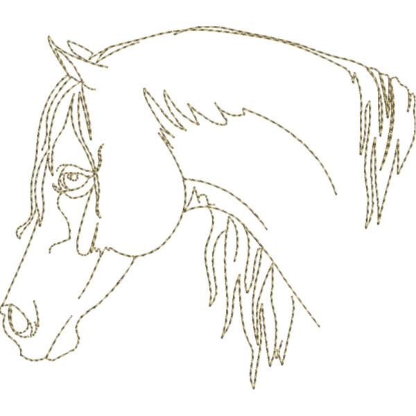 WS611 48 Thumbnail