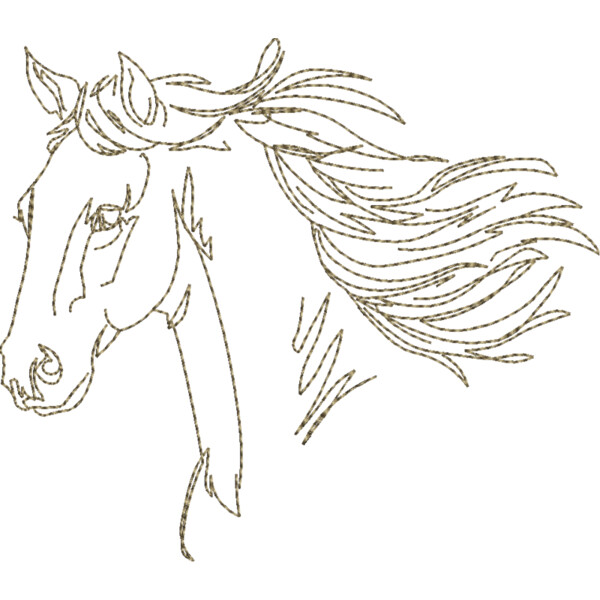 WS610 48 Thumbnail
