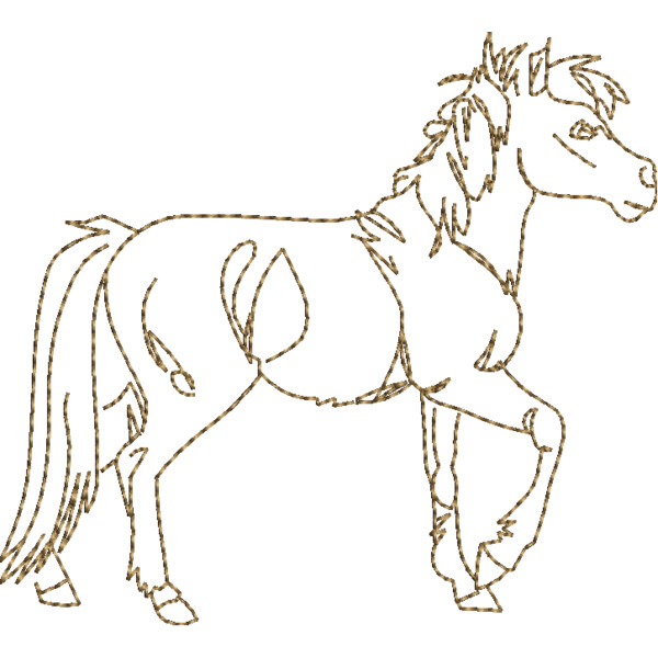 WS608 48 Thumbnail